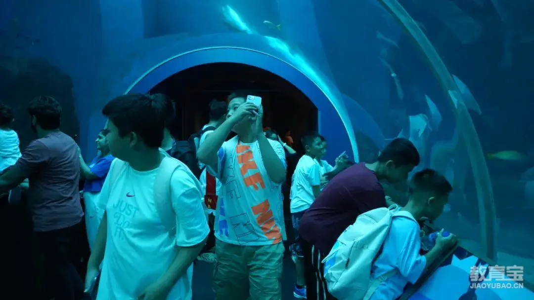 哪里可以找到专业的篮球防守训练课程_2